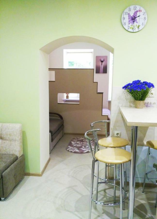 Apartment M&K In The Center Лвив Екстериор снимка